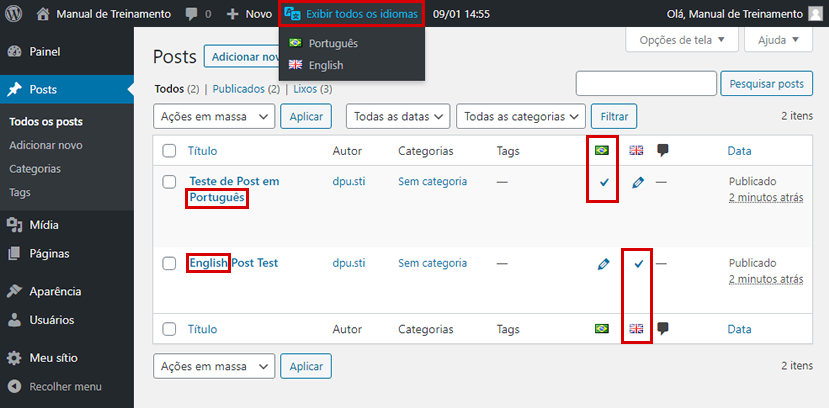 Figura – Visualização de posts em todos os idiomas